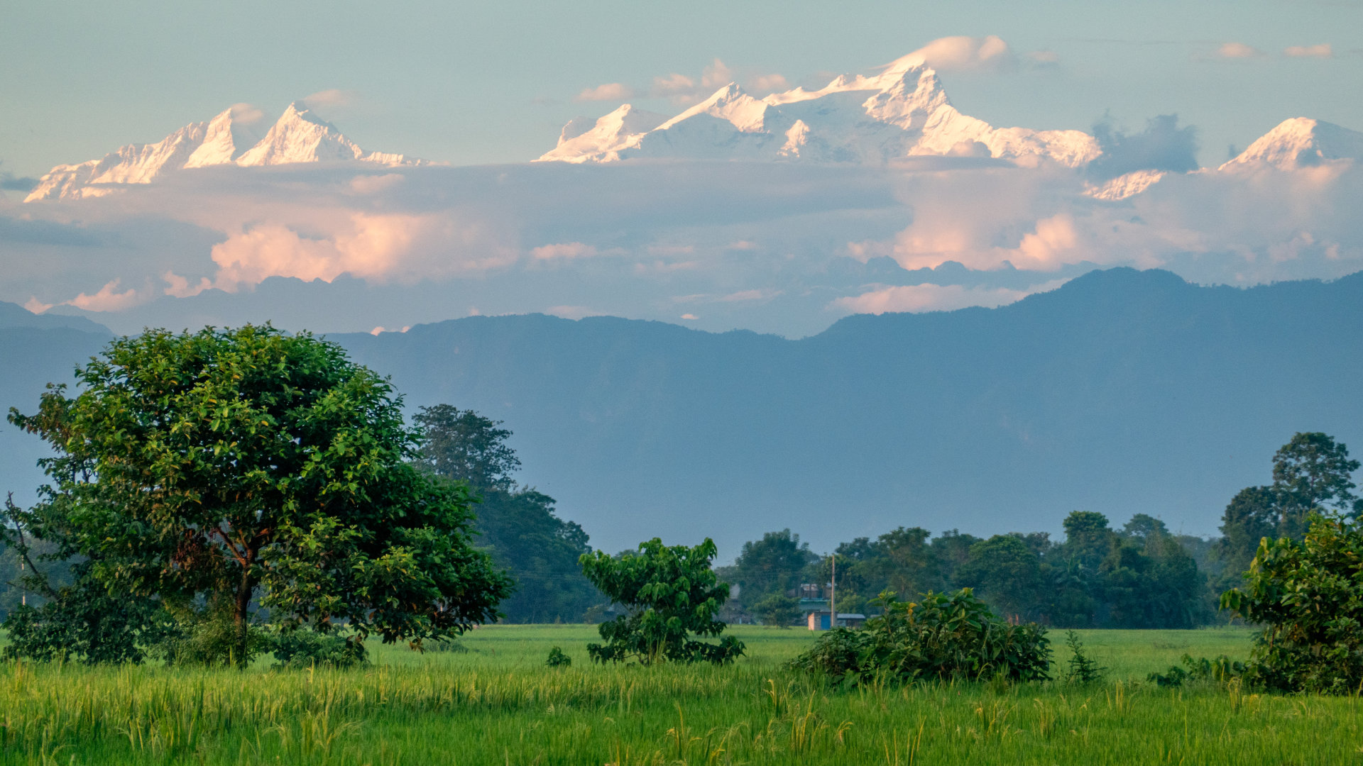 chitwan-vista-panoramica