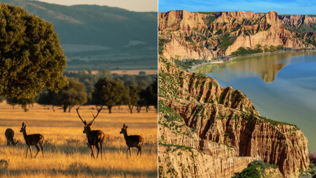 viaje-barrancas-de-castrejon