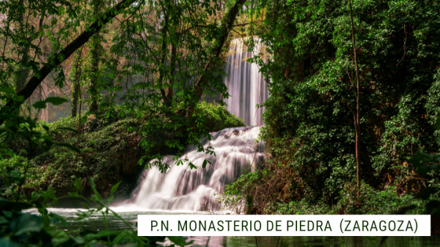 viaje-monasterio-de-piedra